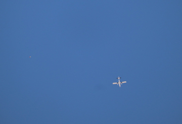 The Plane : Eloy Skydiving School