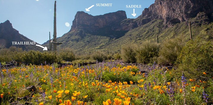 Levels of Picacho Peak