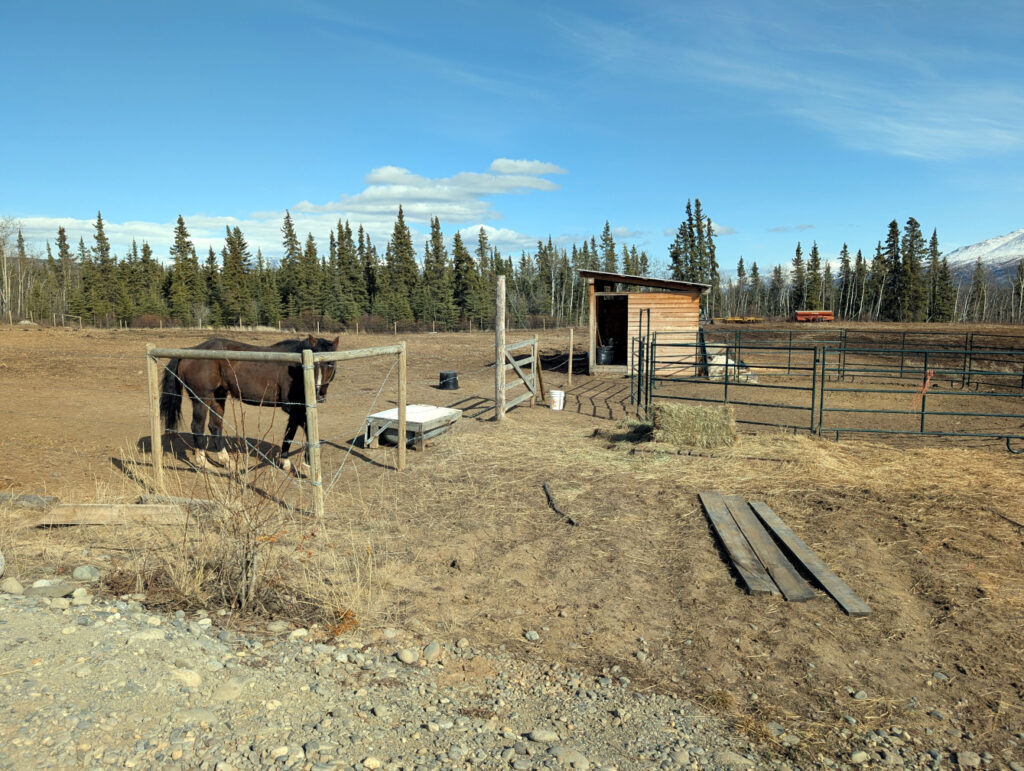 Pasture