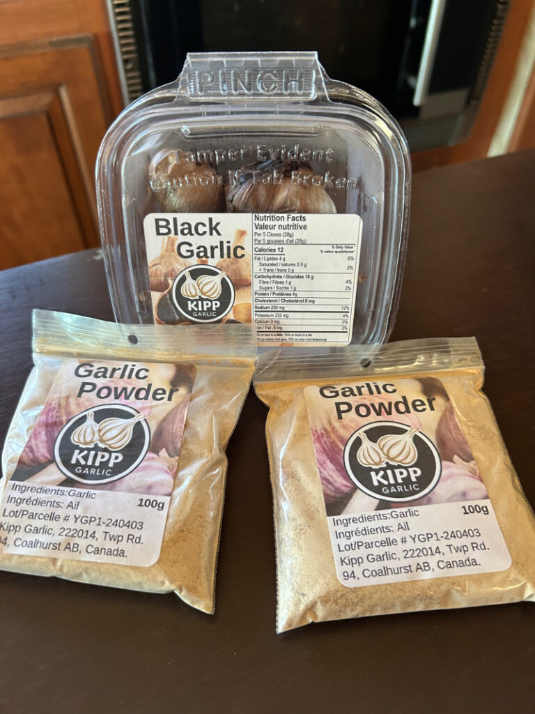 Garlic