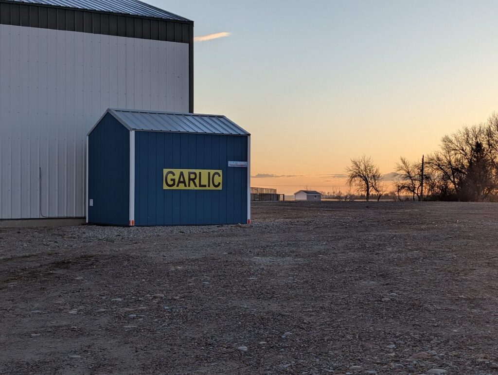 Kipp Garlic self-serve shed at Harvest Host in Lethbridge Alberta