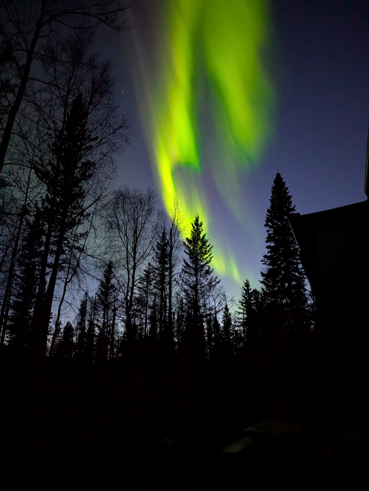 Swirling green Northern Lights above trees and RV at Liard Hot Springs BC