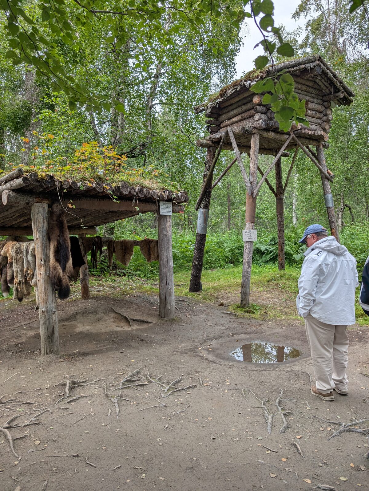 Traditional Alaska Native dwelling and cache on stilts at a cultural site near Talkeetna