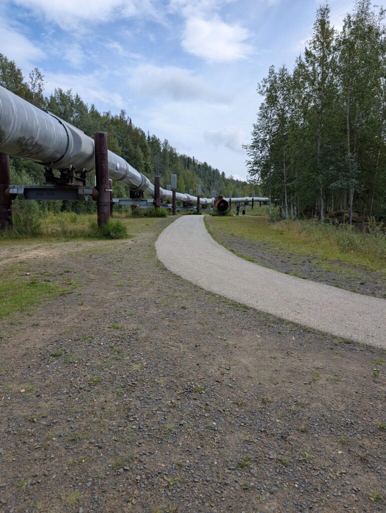 The Trans-Alaska Pipeline stretching through boreal forest near Fairbanks, Alaska